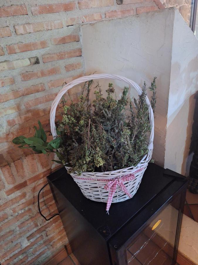 Hostal El Patio Restaurante San Bartolome de Pinares Ngoại thất bức ảnh