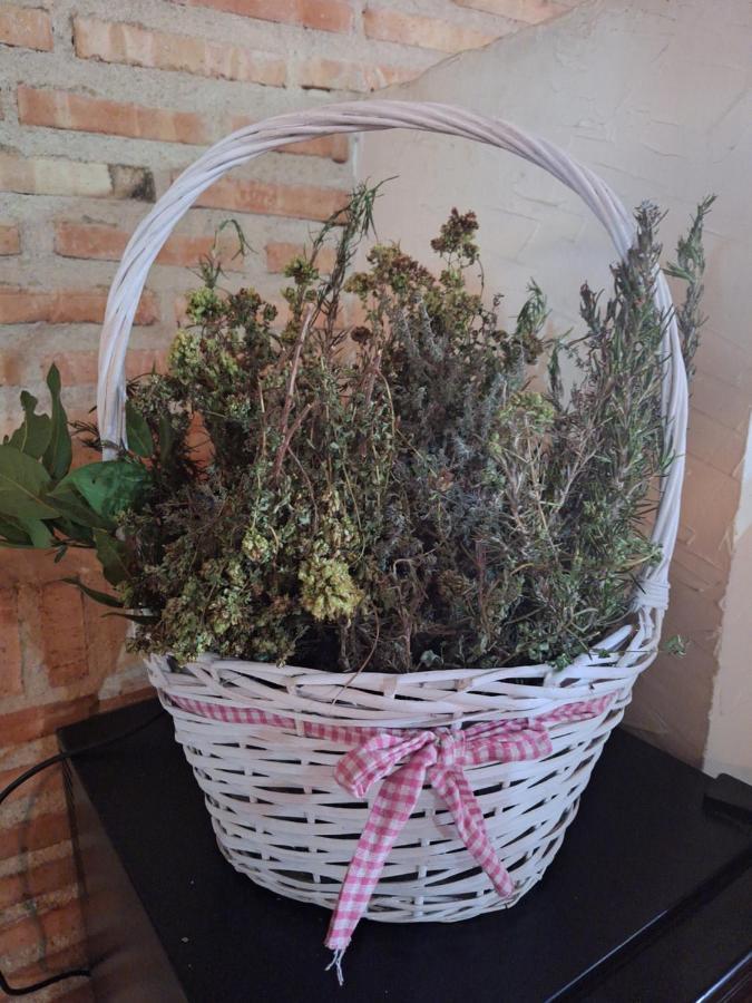 Hostal El Patio Restaurante San Bartolome de Pinares Ngoại thất bức ảnh